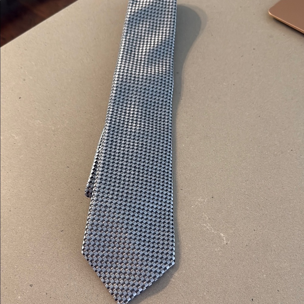 Ermenegildo Zegna Blue and Gray Micro-Check Silk Tie